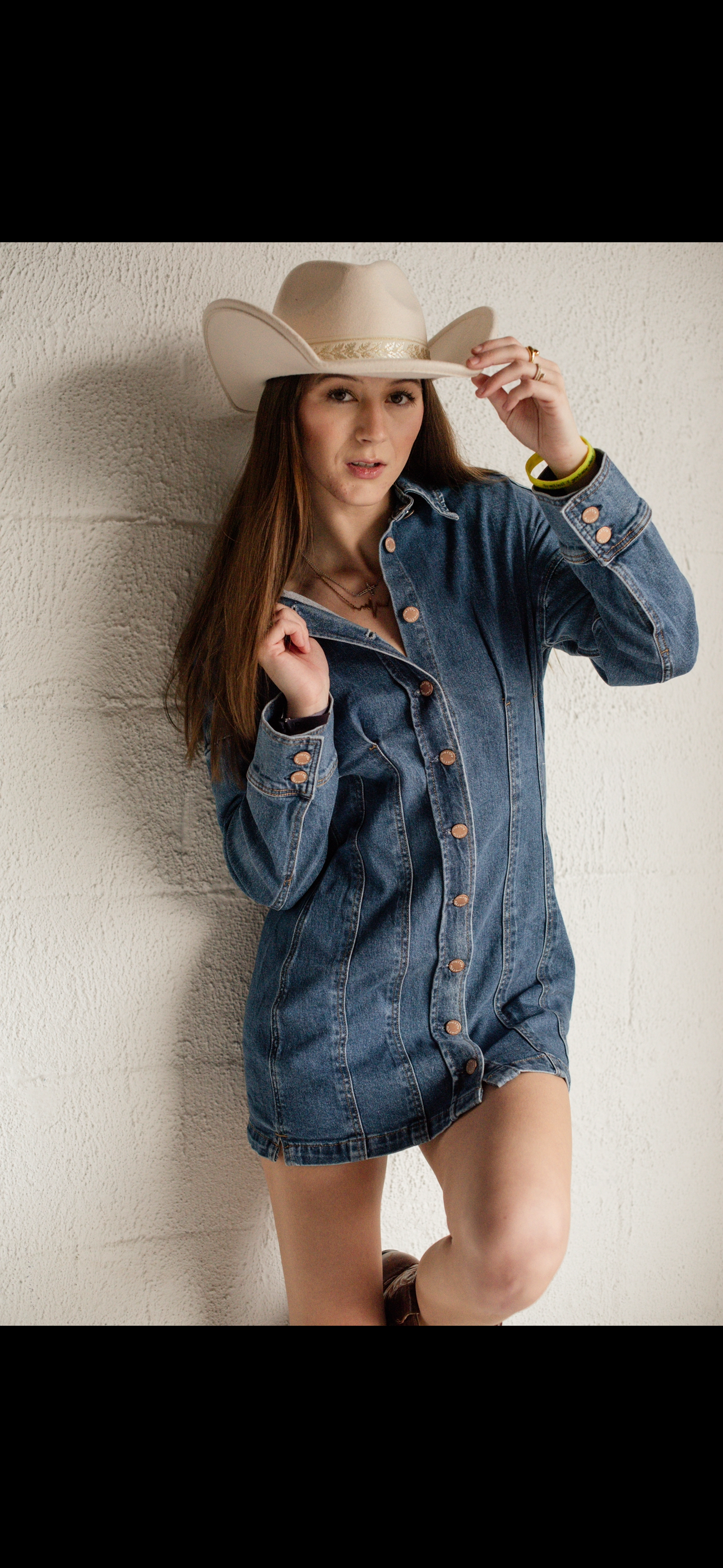 Dolly Denim Button Up Mini Dress