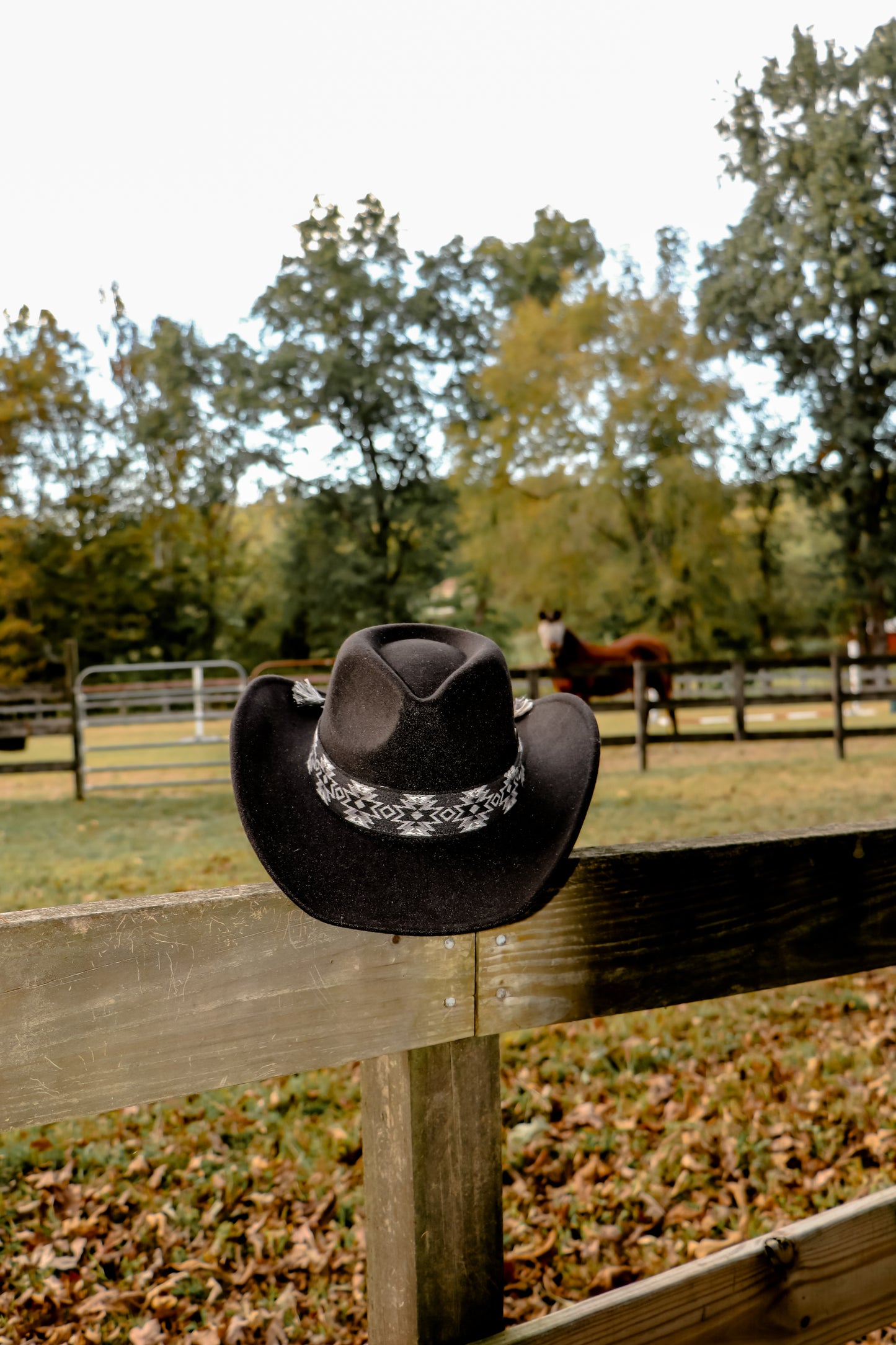 Vegan Felt Southwest Pattern Belt Cowboy Hat